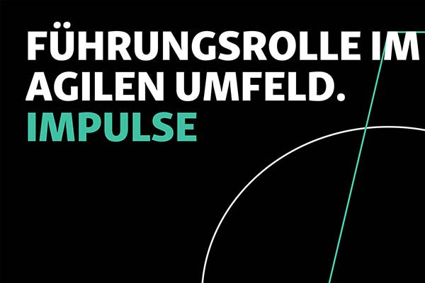 Führungsrolle im agilen Umfeld